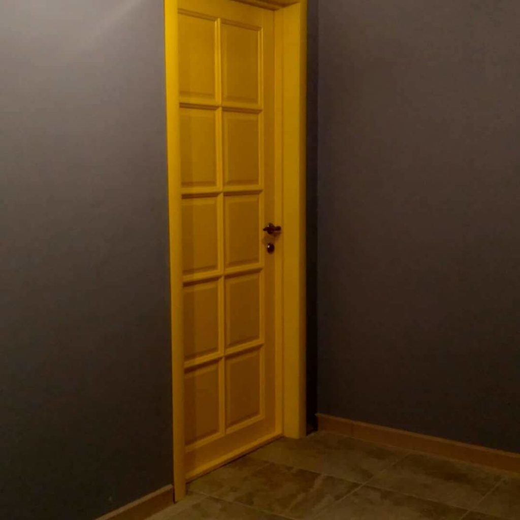 Деревянные двери - покраска по RAL