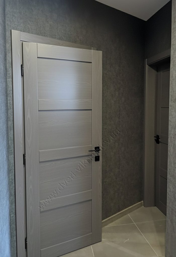 Двері з Ясеня фарба RAL7000