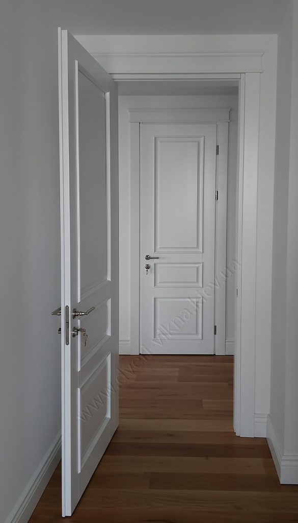 Двері з ясеня RAL9003