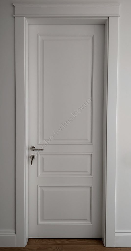 Двері з ясеня RAL9003